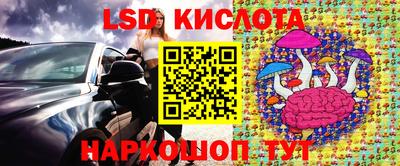 ECSTASY Камышлов