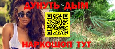 гидропоника Канаш