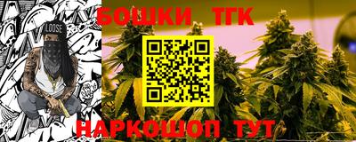 ECSTASY Камышлов